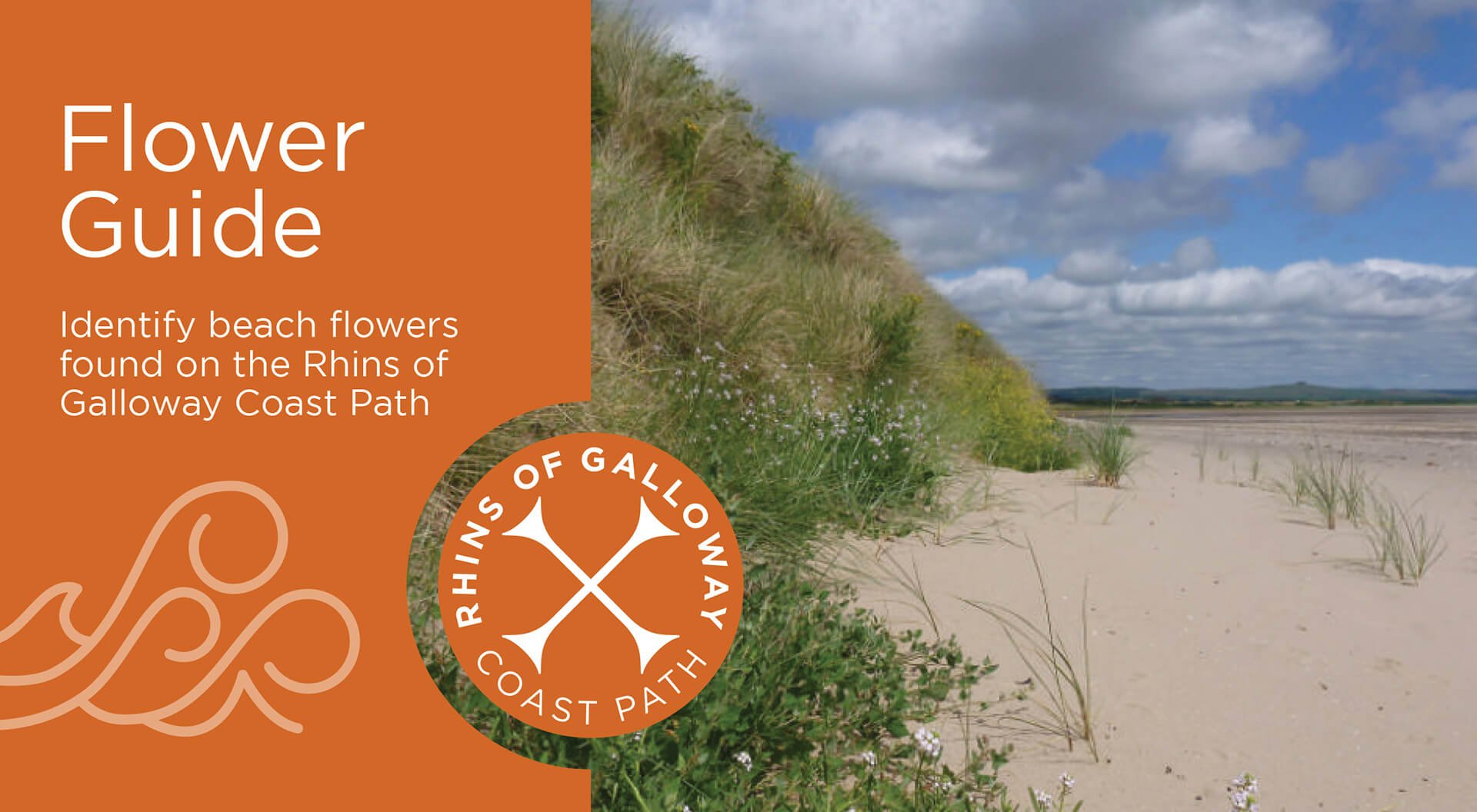 Rhins-of-Galloway-Beach-Flower-Guide_web-1