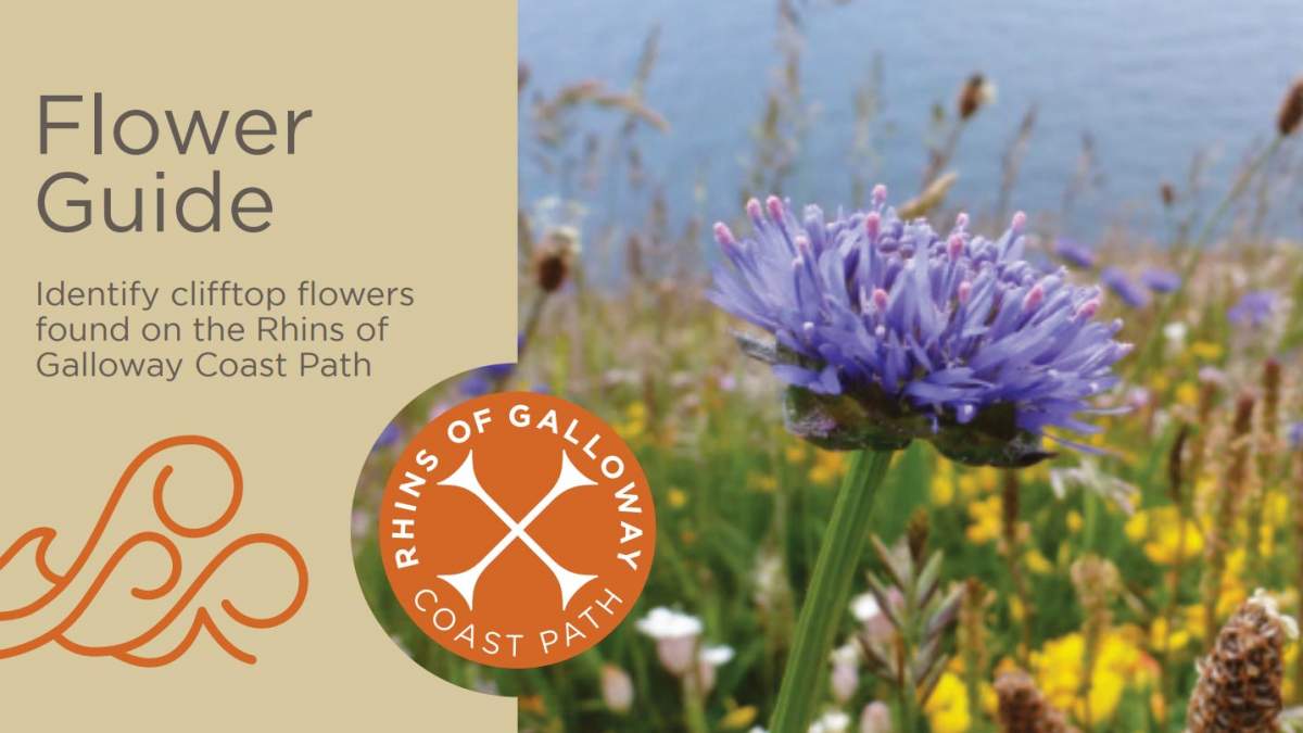 RGCP Flower Guide Cover